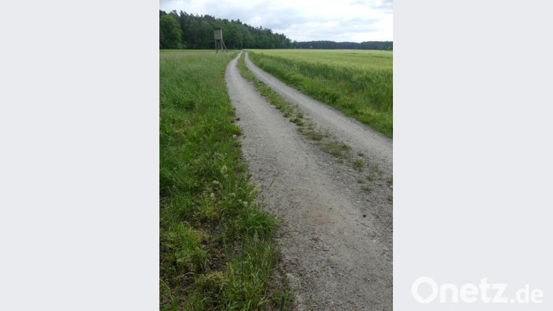 Die landwirtschaftlichen Fahrzeuge werden immer größer. Feldwege wie der zwischen Eschenbach und Bärnwinkel sind für diese Maschinen dann zu schmal. Deshalb sollen die meistbefahrenen Wege ausgebaut werden. Symbolbild: rn