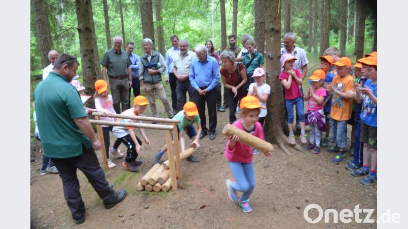 Tempo, Tempo beim Ster-Schlichten. Die Schüler geben alles, um bei den Waldjugendspielen Punkte für das Gesamtergebnis zu sammeln. Bild: fz