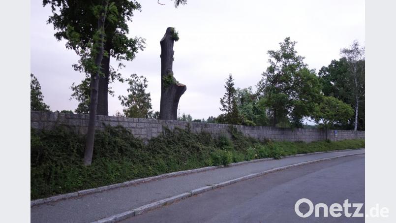 Zwischen der Friedhofsmauer (links) und den Parkplätzen sehen Planer und Stadtverwaltung keine Möglichkeit für eine Verbreiterung des Gehwegs auf über zwei Meter. Bild: fjo