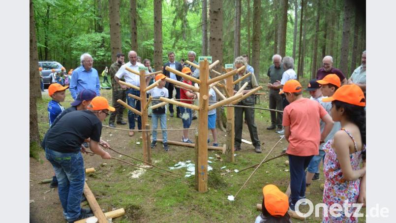 Ahorn, Buche oder Eiche? Die Kinder lernten bei einem Quiz spielerisch die Bäume kennen. Bild: fz