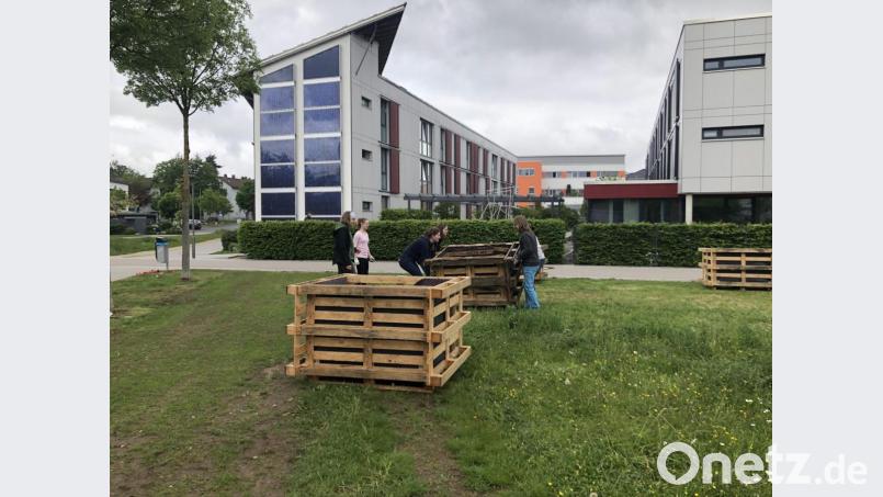Aufbau der Beete Bild: Katrin Schön/exb