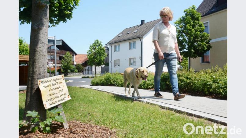 Hundebesitzerin Barbara Raß ist sauer. Sie hält die Schilder vor der Grundschule in Schirmitz für eine Beleidigung aller Hundebesitzer und vor einer Schule für völlig unangebracht. Bild: Gabi Schönberger