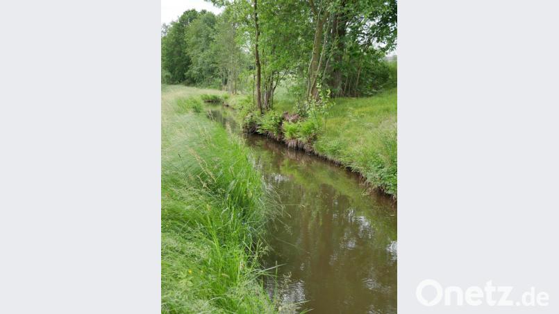 Das FFH-Gebiet entlang des Loisbachs in Eslarn beim Anwesen von Hans Kleber. Bild: gz