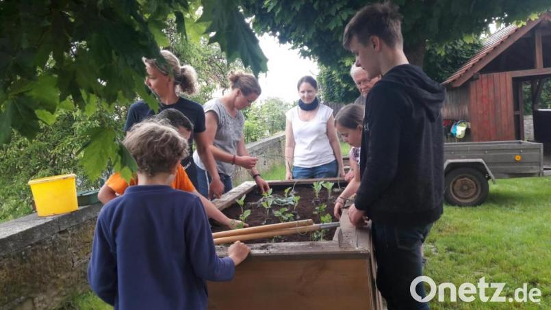 Die &quot;Stacheligen Kulmkids&quot; pflanzen das selbstgebaute Hochbeet wieder an. Bild: lrh