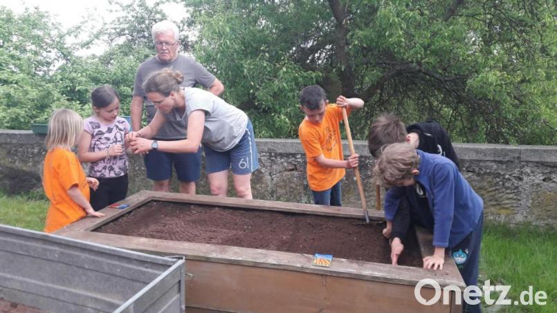Die &quot;Stacheligen Kulmkids&quot; pflanzen das selbstgebaute Hochbeet wieder an. Bild: lrh