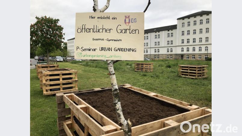 Hinweisschild zum Projekt Bild: Katrin Schön/exb