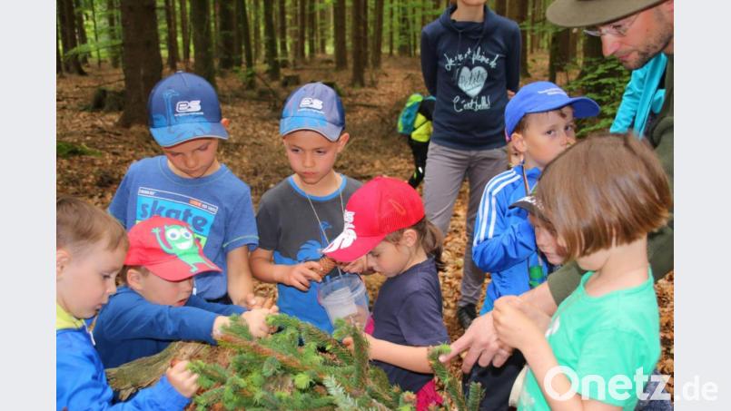 Waldtag des Kindergartens mit Jäger Markus Waldhier (rechts) Bild: fvo