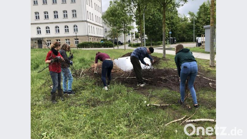 Befüllen der Beete Bild: Katrin Schön/exb