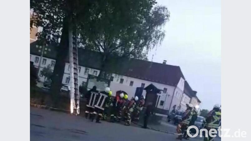Leserin Suleika Zimmermann hat den Einsatz auf dem Handy festgehalten. Sie ruft die Feuerwehr wegen einer Katze im Baum, sieben Minuten später sind die Retter da. Würde die Anruferin in Niedersachsen wohnen, wäre sie vielleicht nicht so begeistert. Dort müsste sie wohl den Einsatz zahlen, und nicht die Gemeinde. Bild: Zimmermann