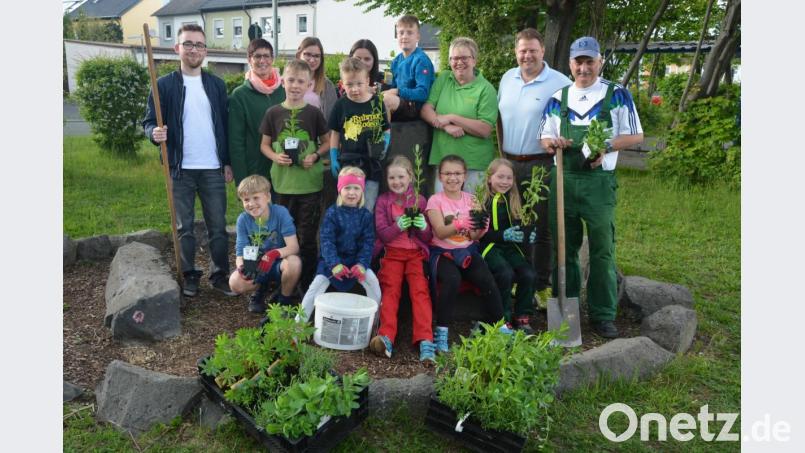 Kinder und Jugendliche des Obst- und Gartenbauvereins Mitterteich pflanzten bei der Basaltsteinanlage der Mittelschule ein bienenfreundliches Blumenbeet an. Unterstützung fanden sie bei Stadtgärtner Willi Kilian (rechts), der das Beet mit seinem Team pflegen wird. Mit im Bild Zweiter Bürgermeister Stefan Grillmeier (Zweiter von rechts) und OGV-Vorsitzende Marion Puchta (Dritte von rechts). Bild: jr