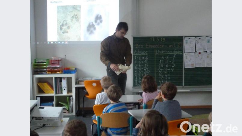 Der nachgemachte Schädel eines Wolfes mit seinem kräftigen Gebiss beeindruckte die Kinder. Bild: hah