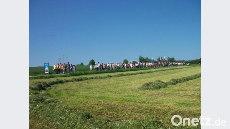 Oft zeitgleich waren Heuernte und Flurumgang. Das Bild zeigt eine Wallfahrt von Hohenkemnath nach Erlheim. Da heute das meiste Gras siliert wird, sind „richtige“ Heuwiesen heute eher selten. Archivbild: schß