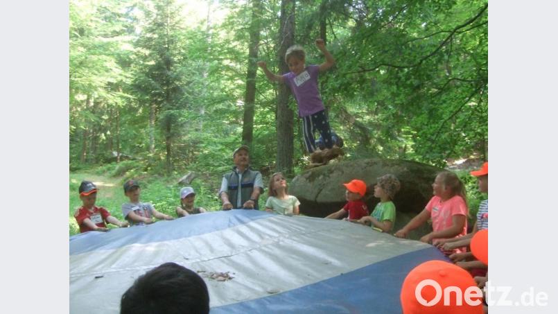 16 Grundschulklassen aus dem Landkreis beteiligten sich bei den Waldjugendspielen im Steinwald. Bild: njn