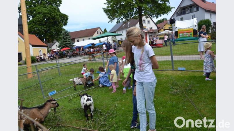 Die Kinder streicheln und füttern gerne die Ziegen. Bild: gi