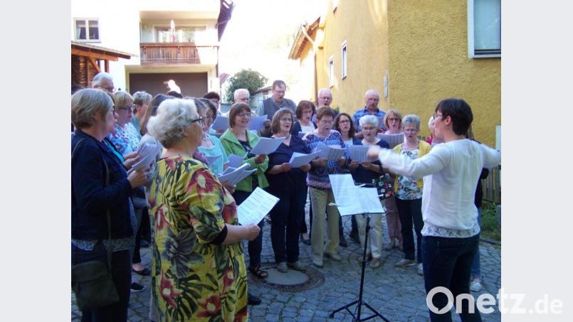 Martina Späth dirigiert den Chor der Pfarrei Etzelwang und auch die vereinigten Chöre mit mehr als 40 Stimmen. Bild: rrd