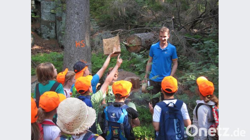 16 Grundschulklassen aus dem Landkreis beteiligten sich bei den Waldjugendspielen im Steinwald. Auf dem Bild Förster Carsten Klöble. Bild: njn
