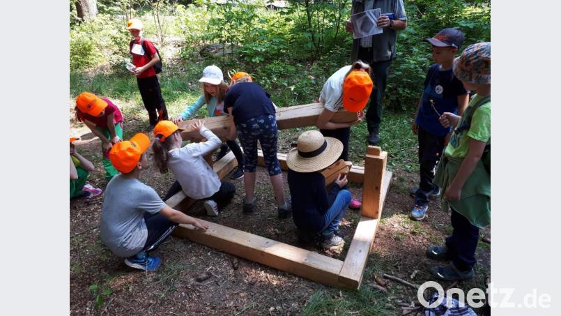 16 Grundschulklassen aus dem Landkreis beteiligten sich bei den Waldjugendspielen im Steinwald. Bild: njn