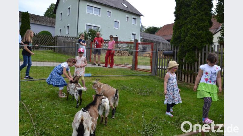 Die Kinder streicheln und füttern gerne die Ziegen. Bild: gi