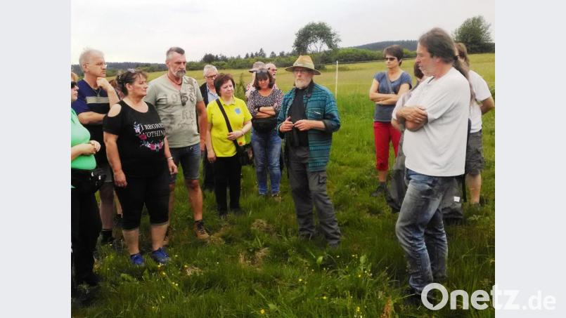 Großes Echo fand die Einladung zum Wiesenspaziergang in die Flur von Brand. Walter Hollering vom Landesbund für Vogelschutz (lbv) gab wertvolle Erläuterungen zu Blumen und Gräsern und streifte deren Bedeutung für Vögel und Insekten. Gabi Greger (gelber Pulli) wies auf besondere Kräuter hin und erklärte ihre Verwendung. Eingeladen hatte Gerald Hoch (rechts) Bild: ld