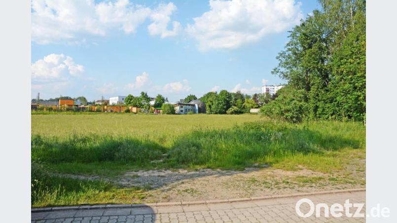 Das Gewerbegebiet Pfreimter Weiher ist weit weg. Auf der großen Wiese, bisher Überschwemmungsgebiet ist nun ein viergeschossiger Wohnblock geplant. Damit kann sich der Bauausschuss anfreunden. Die Nachbarn im Laubenweg haben kein verbürgtes Recht auf freie Aussicht. Bild: Gabi Schönberger