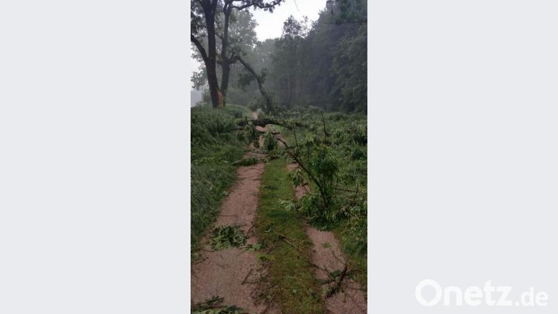 Den Isarradweg musste der Sportler teilweise erst einmal freiräumen nach dem Gewitter. Bild: exb