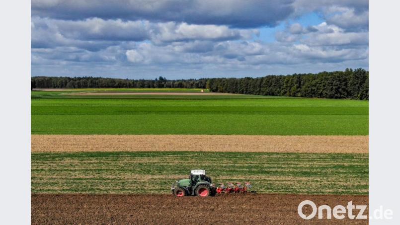 Die Landwirte im Landkreis Tirschenreuth sind wegen Süd-Ost-Link, Ostbayernring und der Folgen des Volksbegehrens &quot;Rettet die Bienen&quot; sauer. Symbolbild: Armin Weigel/dpa