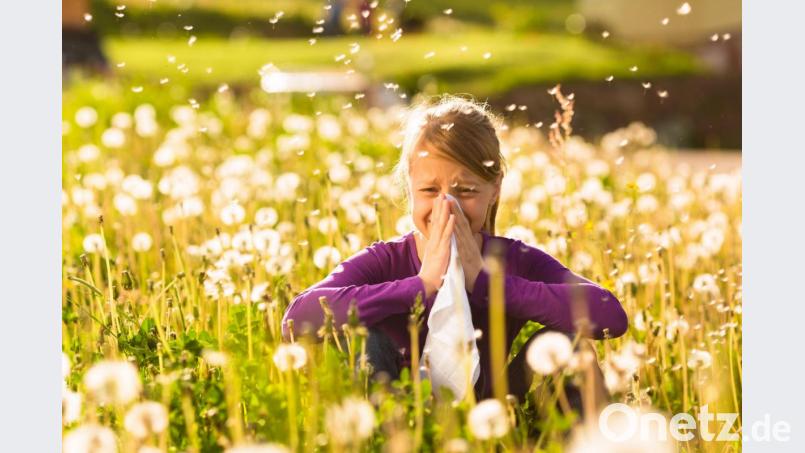 Pollen sind für viele Menschen die reinste Qual. Oft lösen sie schlimme Allergien aus. Bild: exb