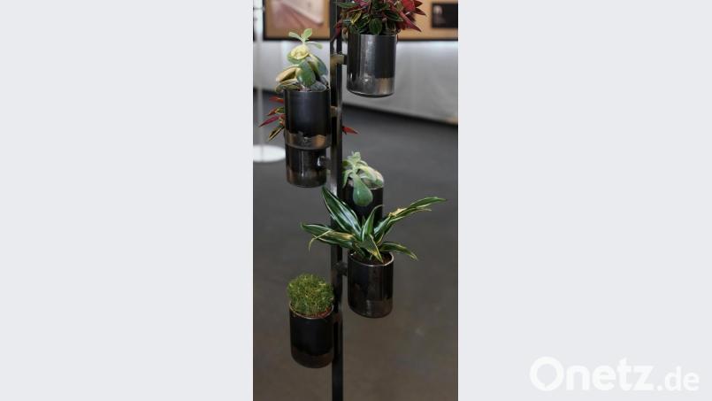 Blumentöpfe aus Metall - elegant und edel. Bild: tr