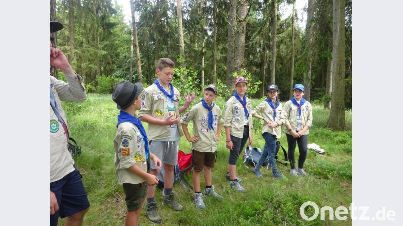 Am Stufentag machen sich die Jungpfadfinder auf den Weg zur Besichtigung eines Hühnermastbetriebs und zur &quot;Kleinen Teufelsküche&quot;. Bild: wrm