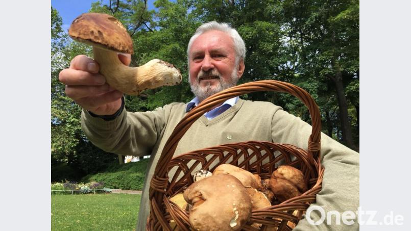 Alfred Meißner aus Ursulapoppenricht mit seiner ersten Schwammerl-Ausbeute. Bild: upl