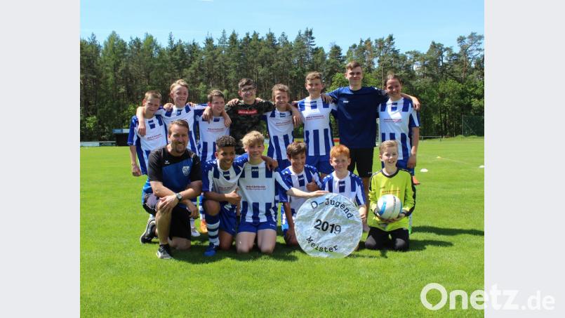 Jubel bei den U-13-Junioren der SG Diendorf/Altfalter/Nabburg: Sie spielen in der nächsten Saison wieder in der Kreisliga. Bild: exb