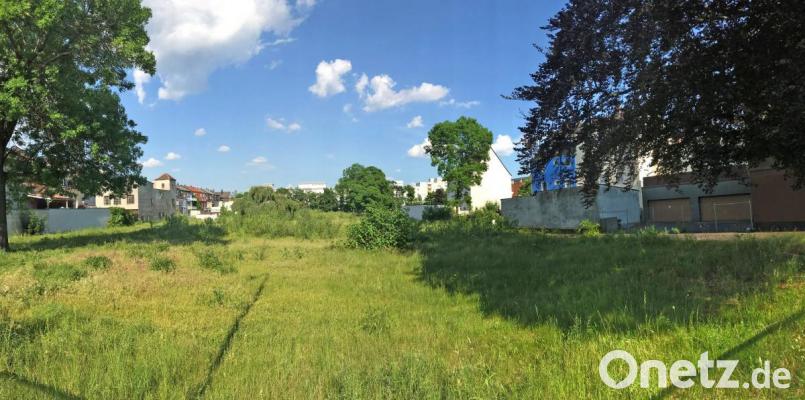 Da wächst Gras drüber. Das Bebauungsplanverfahren für das Bürgerbräu-Gelände zwischen Hoch- und Bahnhofstraße ist ins Stocken geraten. Für eine Altlastenuntersuchung verweigern die Grundstückseigentümer dem Investor die Einwilligung, berichtet Baudezernent Oliver Seidel. Bild: Gabi Schönberger