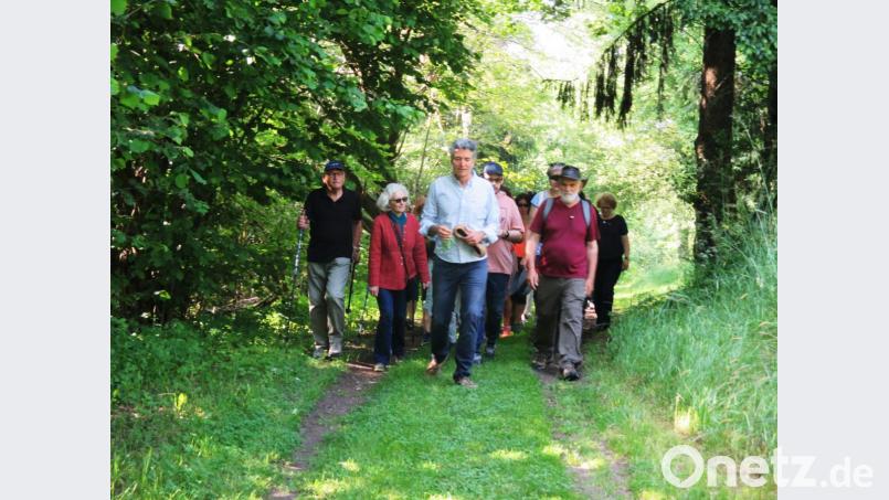 Waldecker wilde Tage Bild: hl