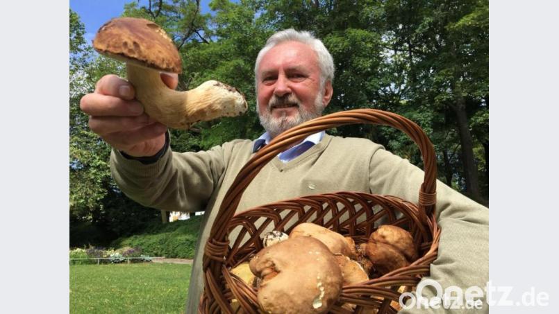 Alfred Meißner aus Ursulapoppenricht mit seiner ersten Schwammerl-Ausbeute. Bild: upl