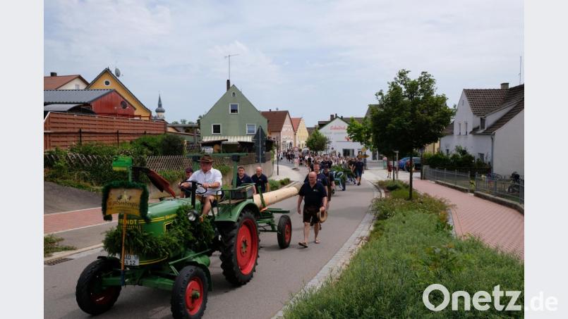 Mit Bulldog und langem Festzug wird der knapp 30 Meter lange Baum zum Festplatz gebracht. Bild: mab