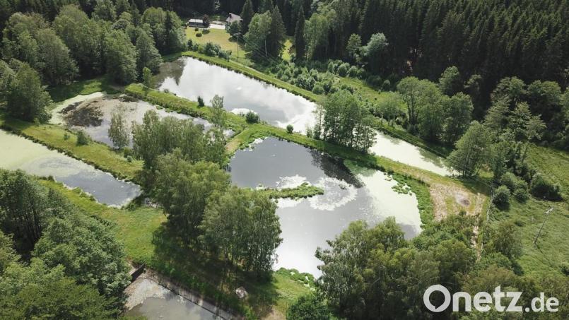 Das Areal der Kläranlage nahe dem Ortsausgang Richtung Weiding. Nach der Neukonzeption bleibt noch ein Klärteich. Bild: mmj