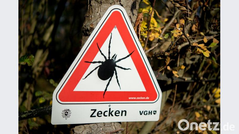Ein solches Schild sollte unbedingt ernst genommen werden: in den vergangenen Jahren wurde eine Zunahme von Hirnhautentzündungen durch FSME beobachtet. Bild: Hauke-Christian Dittrich