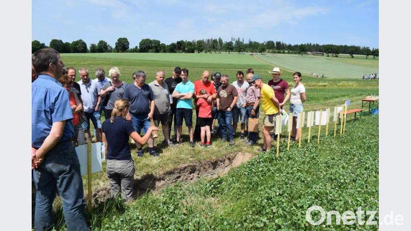 Eine geaue Bodenanalyse erlaubt Rückschlüsse auf die Bodenstruktur. Bild: bnr