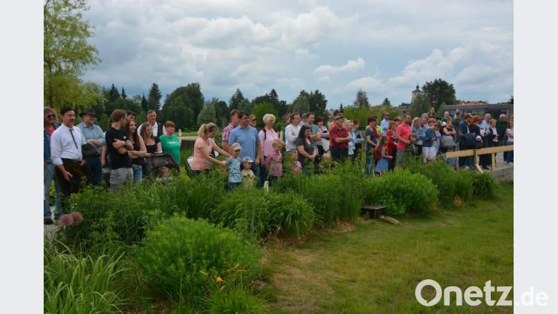 Großes Interesse fand die Greifvogelschau. Hunderte von Besuchern staunten angesichts der atemberaubenden Shows. Bild: jr