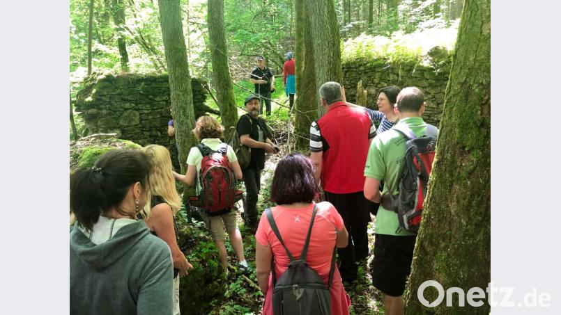 Zdeněk Procházka (Mitte) aus Domažlice mit den Exkursionsteilnehmern mitten zwischen Mauerresten Bild: eib