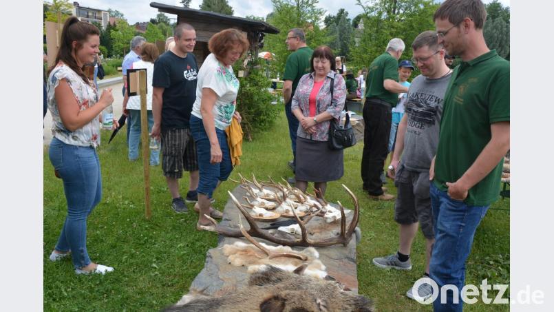 Großen Zuspruch verzeichnete der „Tag der Jäger“ am Sonntag im Fischhofpark. Bei der Veranstaltung unter dem Motto „Jagen heißt Verantwortung“ präsentierten die Jäger auch ihre Wild-Trophäen. Bild: jr