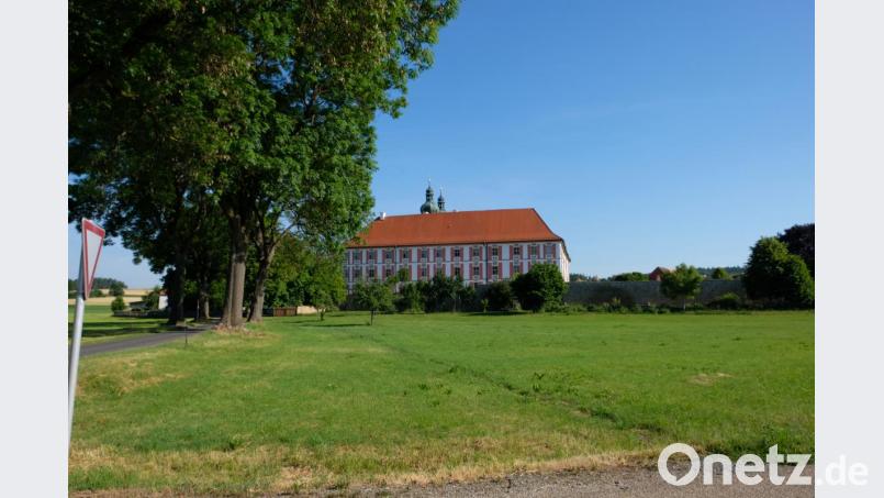 Von Blühwiesen vor den Klostermauern keine Spur: Gemeinderat Johann Mayer beanstandete den viel zu frühen Grasschnitt auf dem Wiesendreieck, das die Gemeinde als Ausgleichsfläche erworben hat. Bild: do