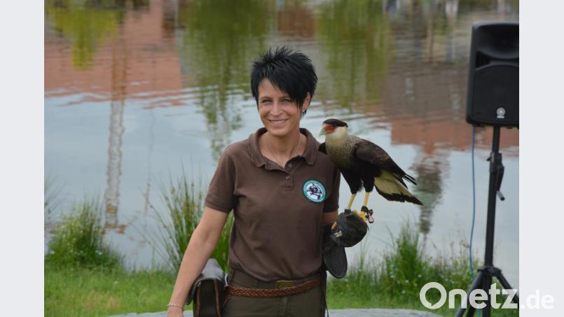 Charmant präsentiert wurden die Falken und Greifvögel aus dem Fichtelgebirge bei der Show im Fischhofpark in Tirschenreuth. Bild: jr