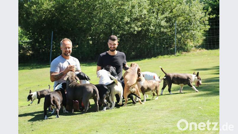 Peter Kick und Johannes Stilp sind &quot;die Hundeversteher&quot;. Sie helfen Herrchen und Frauchen, wenn sie mit ihrem Vierbeiner einmal wieder überfordert sind. Bild: Gabriela Kick