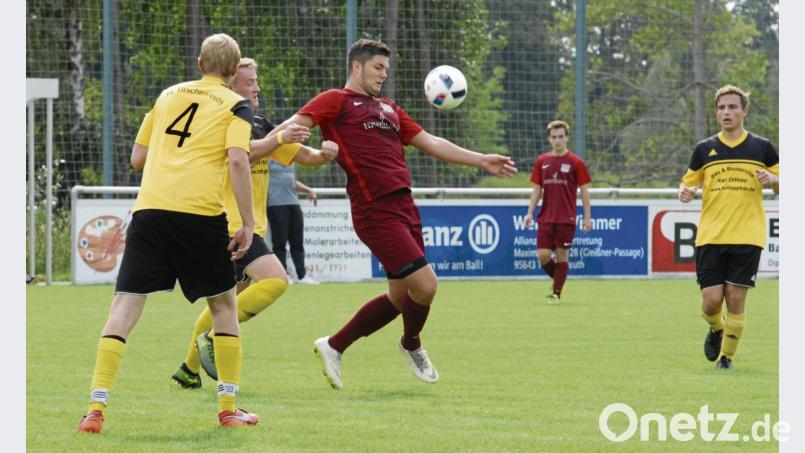 Julian Schindler (Dritter von links) steuerte 44 Treffer zum Titelgewinn des TSV Waldershof in der Kreisklasse Stiftland bei. Bild: gb