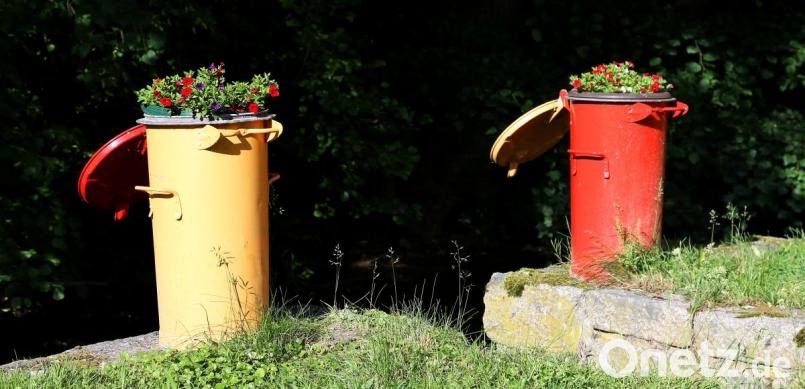 Die bepflanzten Mülltonnen sind ein Blickfang. Bild: mef