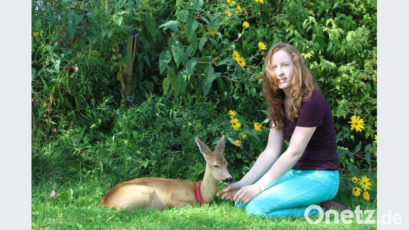<p>Unerwartetes Glück: Seit vier Jahren ist das Reh Emmy treuer Wegbegleiter der Amberg-Sulzbacherin Magdalena Biehler.</p>
Bild: Evi Wagner