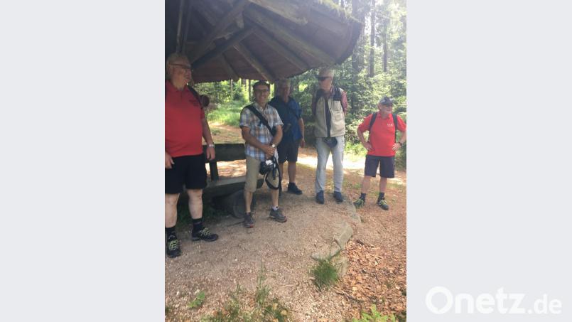 FGV-Wanderung über den Steinwald zur Glasschleif bei Arnoldsreuth: 
Am Steinwaldpilz wurde eine Rast eingelegt. Bild: roh