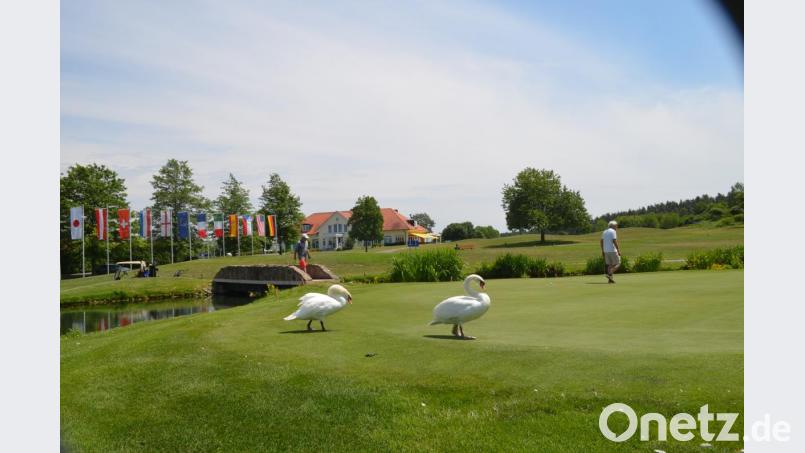 Eine 25-jährige Erfolgsgeschichte, der Golfplatz Schwanhof und die Namensgeber sind heute noch präsent. Bild: fz