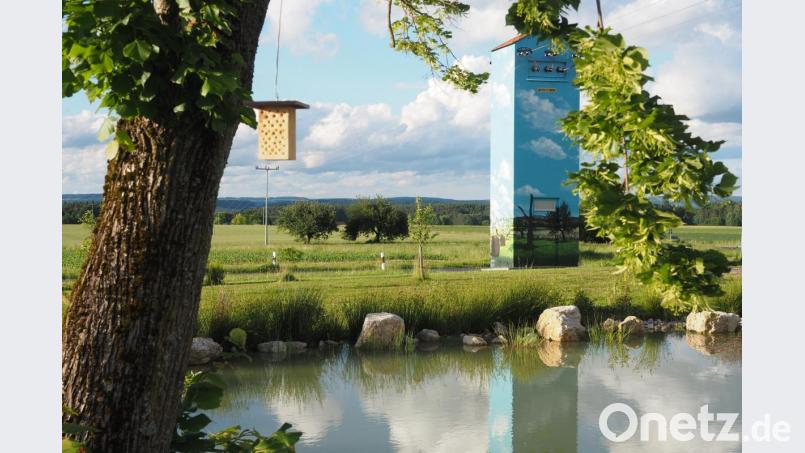 Wie weit Ursensollen im Bereich „Biologische Vielfalt“ schon fortgeschritten ist, zeigten einige Beispiele aus der Gemeinde. Hier die renaturierte Dorfhüll in Oberhof mit dem Blickfang Trafohaus, bemalt mit den vier Jahreszeiten.